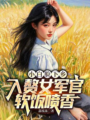 小白脸txt