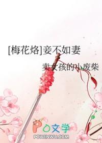 妾不如妻阅读