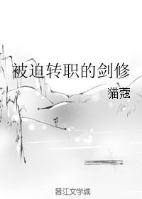 被迫转职的剑修中cp是谁