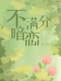 满分暗恋袖刀txt