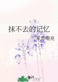 抹不去的回忆作文500字