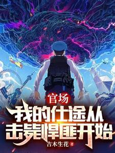 官路我的官样年华