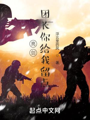 亮剑之我的团长