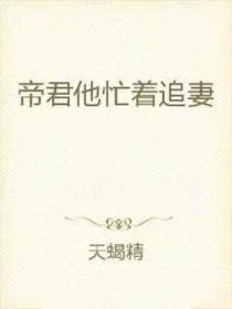 帝君追妻路漫漫