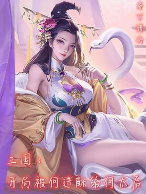 三国开局占有何皇后