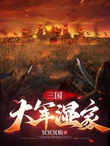 三国大军师最佳队伍