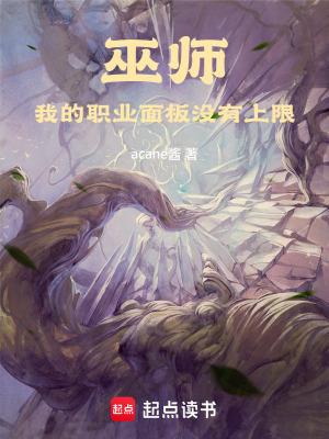 巫师我的职业面板没有上限在线阅读