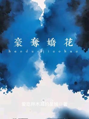 豪取豪夺文